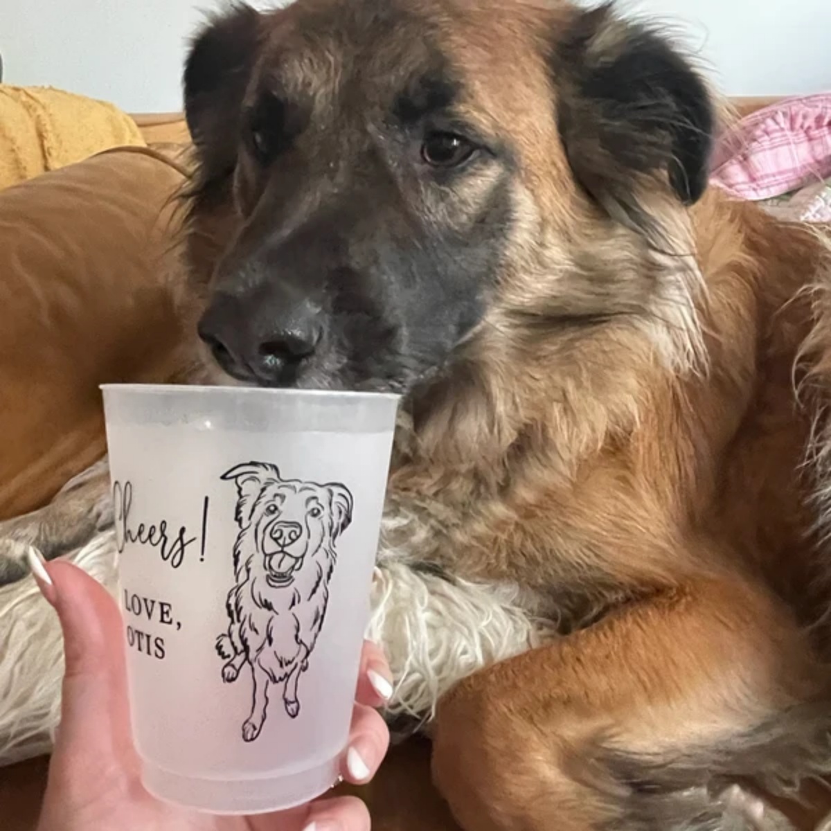 10/50 Personalisierte Senior-F – Plastic Cup 50Pcs Bewertung und Preis